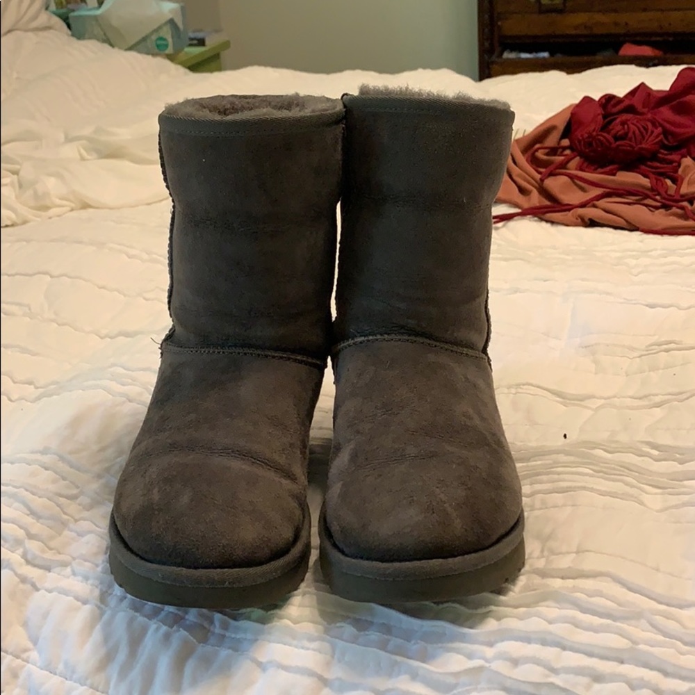 short gray uggs